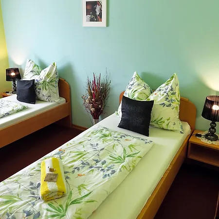 Fruehstueckspension Elena Nicoleta Caltun Apartment Fischamend