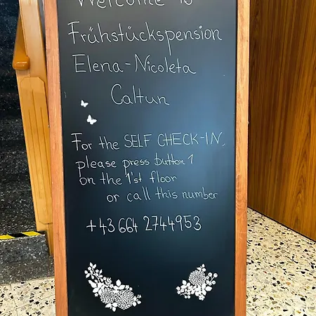 Daire Fruehstueckspension Elena Nicoleta Caltun Fischamend