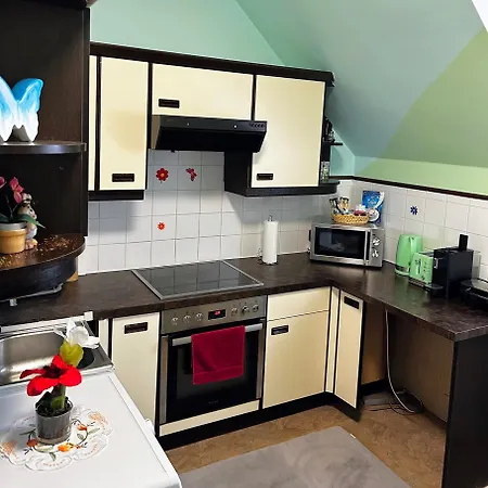 דירה Fruehstueckspension Elena Nicoleta Caltun