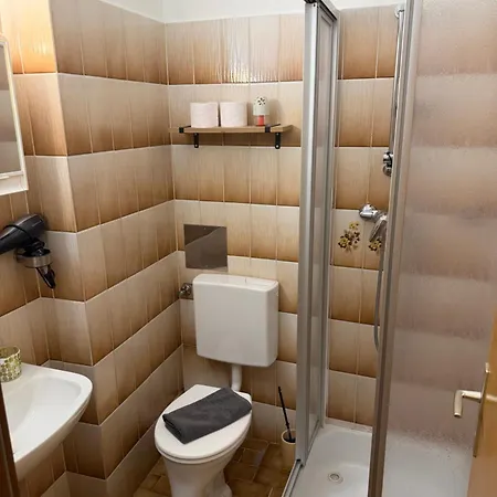 Fruehstueckspension Elena Nicoleta Caltun דירה