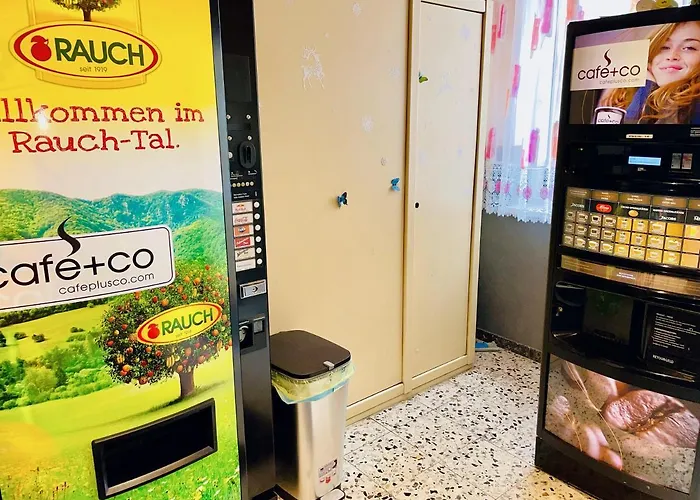 Fruehstueckspension Elena Nicoleta Caltun דירה