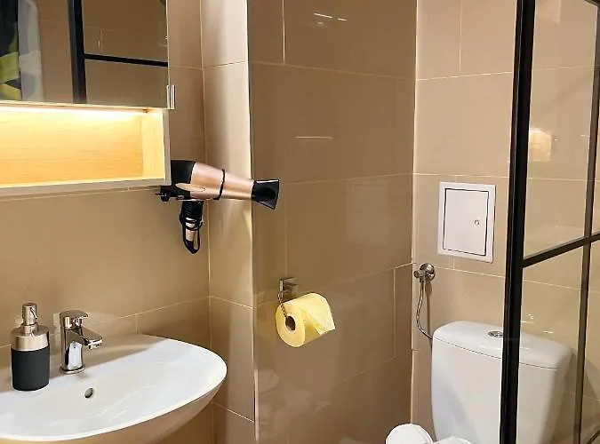 Fruehstueckspension Elena Nicoleta Caltun דירה