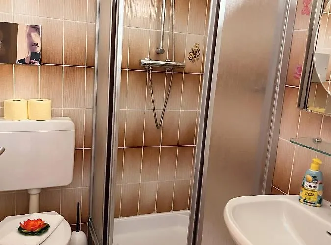 Fruehstueckspension Elena Nicoleta Caltun דירה פישמנד דורף