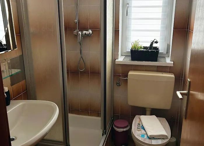 Fruehstueckspension Elena Nicoleta Caltun דירה *