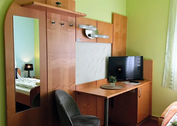 Fruehstueckspension Elena Nicoleta Caltun דירה *