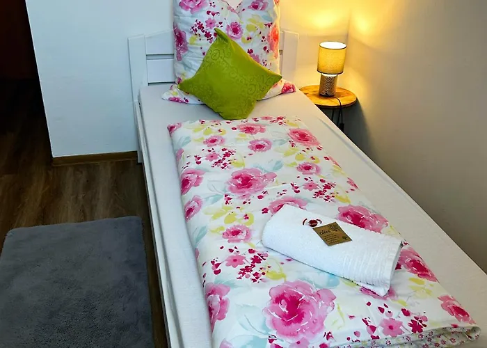 Fruehstueckspension Elena Nicoleta Caltun *