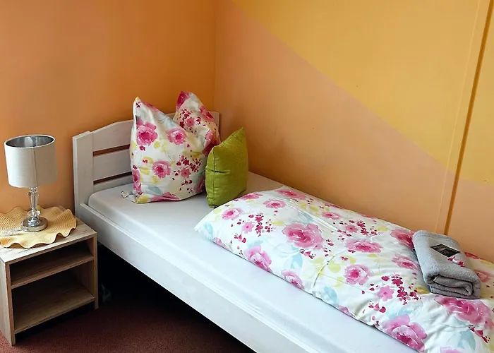 Fruehstueckspension Elena Nicoleta Caltun דירה