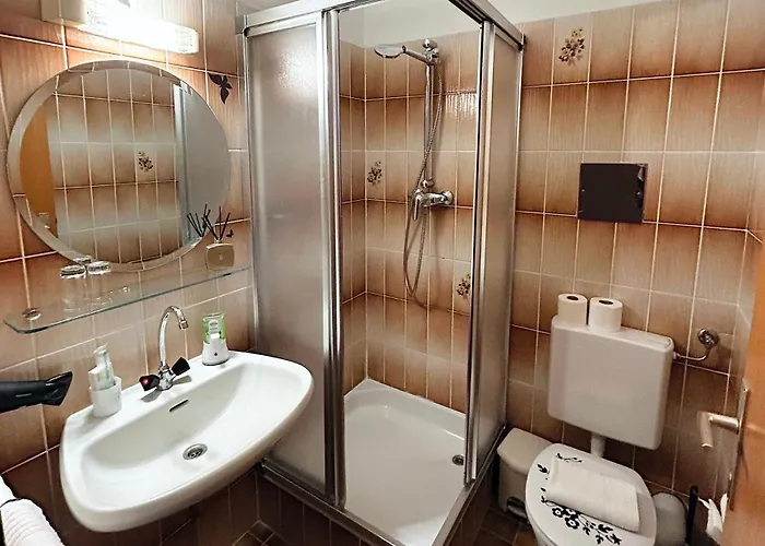 Fruehstueckspension Elena Nicoleta Caltun