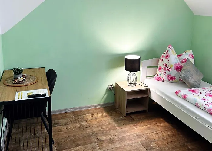 Fruehstueckspension Elena Nicoleta Caltun דירה