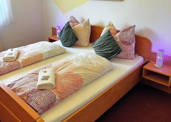 Fruehstueckspension Elena Nicoleta Caltun דירה