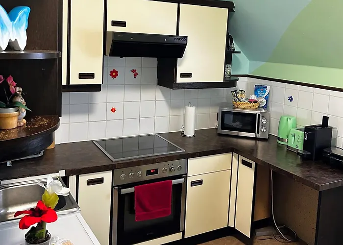 דירה Fruehstueckspension Elena Nicoleta Caltun