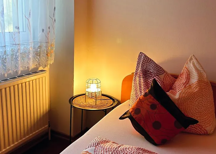 Fruehstueckspension Elena Nicoleta Caltun דירה *