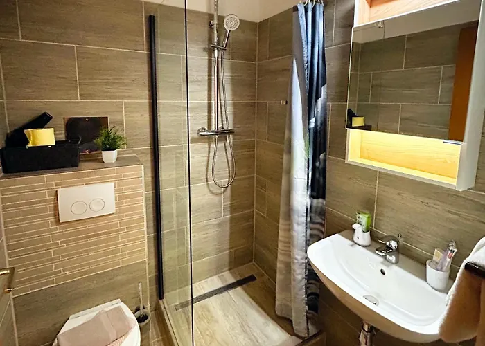 Fruehstueckspension Elena Nicoleta Caltun דירה *