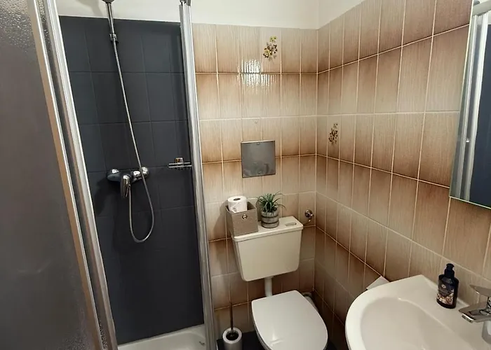 דירה Fruehstueckspension Elena Nicoleta Caltun *